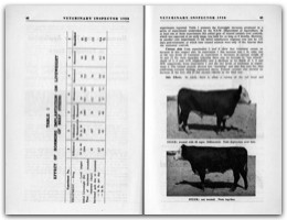 1958 Page 62 63